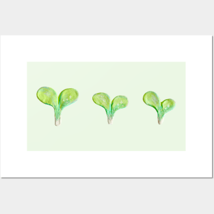 clay sprouts Posters and Art